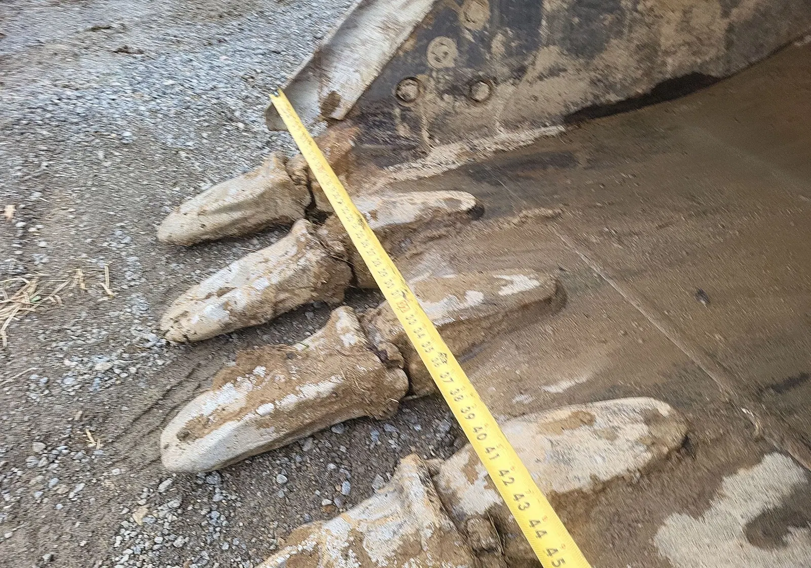 2017 Caterpillar 336FL